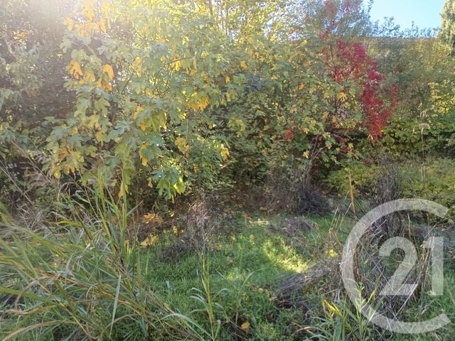 terrain à vendre - 380.0 m2 - MONTFORT SUR ARGENS - 83 - PROVENCE-ALPES-COTE-D-AZUR - Century 21 Agence Vaubelle