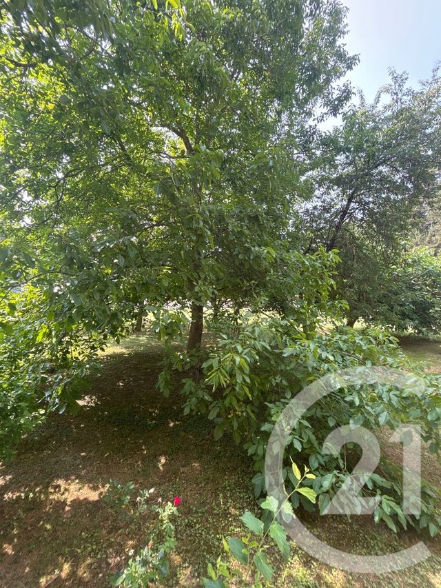 Appartement F2 à vendre - 2 pièces - 48.71 m2 - BRIGNOLES - 83 - PROVENCE-ALPES-COTE-D-AZUR - Century 21 Agence Vaubelle