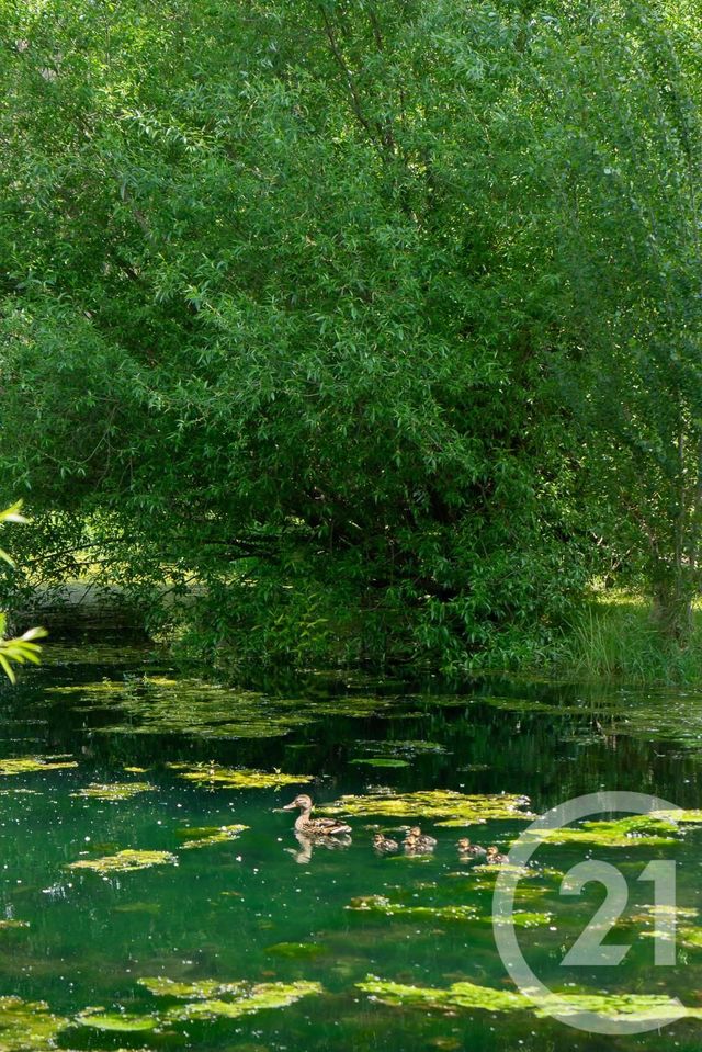 maison à vendre - 5 pièces - 173.0 m2 - CAMPS LA SOURCE - 83 - PROVENCE-ALPES-COTE-D-AZUR - Century 21 Agence Vaubelle