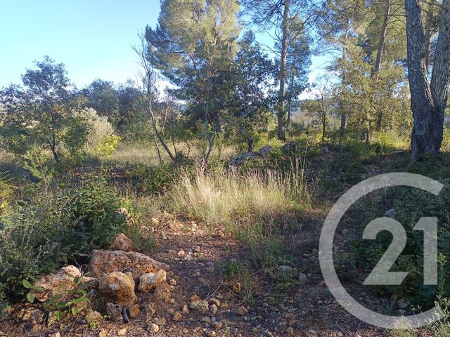 terrain - MONTFORT SUR ARGENS - 83