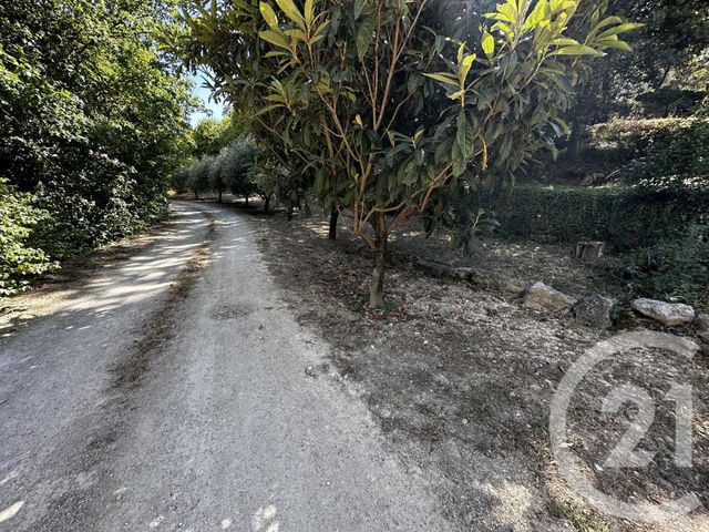 terrain à vendre - 3547.0 m2 - BRIGNOLES - 83 - PROVENCE-ALPES-COTE-D-AZUR - Century 21 Agence Vaubelle