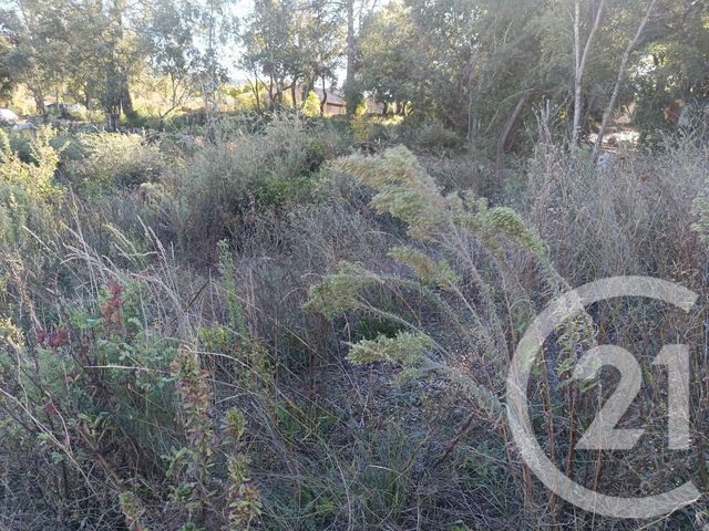 terrain à vendre - 1200.0 m2 - MONTFORT SUR ARGENS - 83 - PROVENCE-ALPES-COTE-D-AZUR - Century 21 Agence Vaubelle