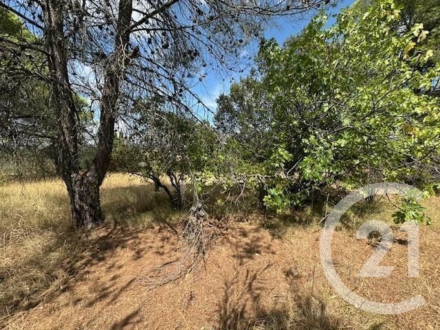 terrain à vendre - 1677.0 m2 - LE VAL - 83 - PROVENCE-ALPES-COTE-D-AZUR - Century 21 Agence Vaubelle