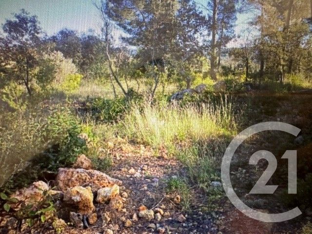 maison à vendre - 4 pièces - 105.0 m2 - MONTFORT SUR ARGENS - 83 - PROVENCE-ALPES-COTE-D-AZUR - Century 21 Agence Vaubelle
